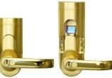 gold_left1