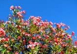 img_1637