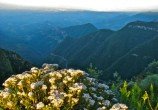 img_2789