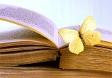 are125butterfly-on-book-posters