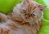 img_3481