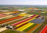 tulipspa0605_468x315