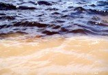 O escuro é o Rio Negro; o claro é o Solimões