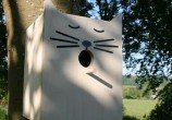 gato-e-passarinho-0