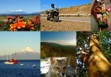 chiloe2010