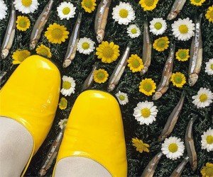 lizwolfe_yellowshoes