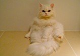 DSC03071_2