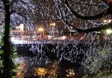 DSC05196