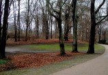 DSC05330_2