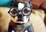Fonte: Smashinghub.com