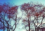 IMG_0361