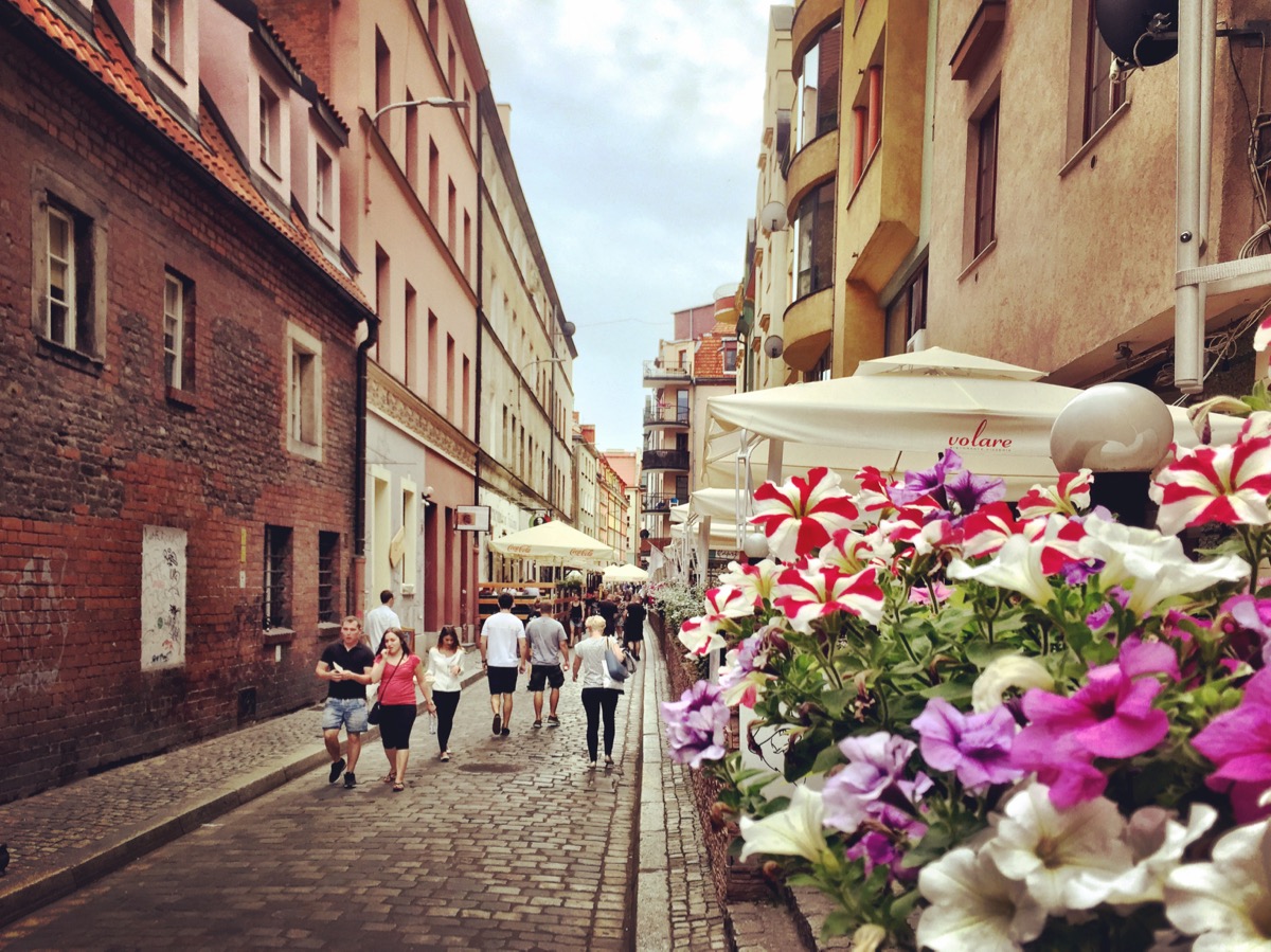 A imagem mostra pessoas caminhando em uma rua para pedestres; no canto direito, um vaso de flores.