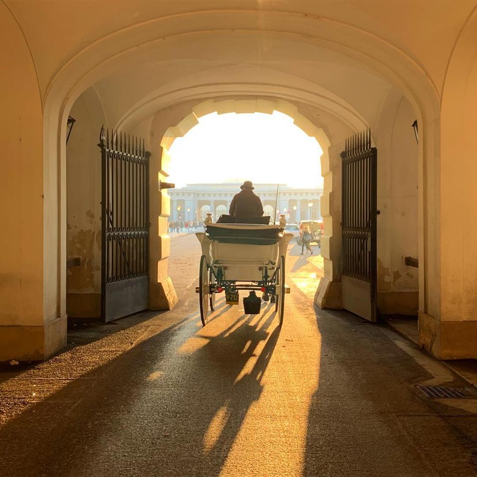 #paracegover Descrição para deficientes visuais: a imagem mostra uma carruagem vista de costas em uma das muitas passagens do Palácio de Hofsburg. O sol que vem da rua, faz tudo ficar dourado. No fim do túnel é possível ver os portais do Castelo. — at Hofburg Palace.