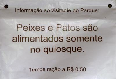 Não, os peixes e patos não são amestrados e comem na mesa como pode parecer...