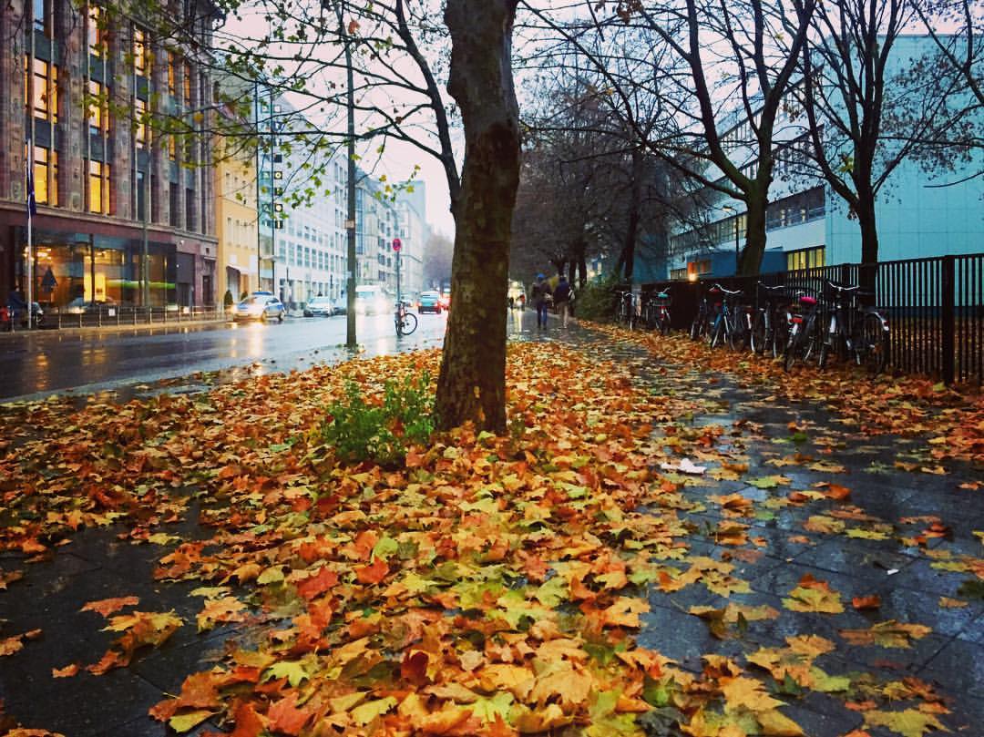 #paracegover A imagem mostra uma calçada coberta de folhas secas, porém, molhadas. Chove. — at Wallstraße, Berlin-Mitte.