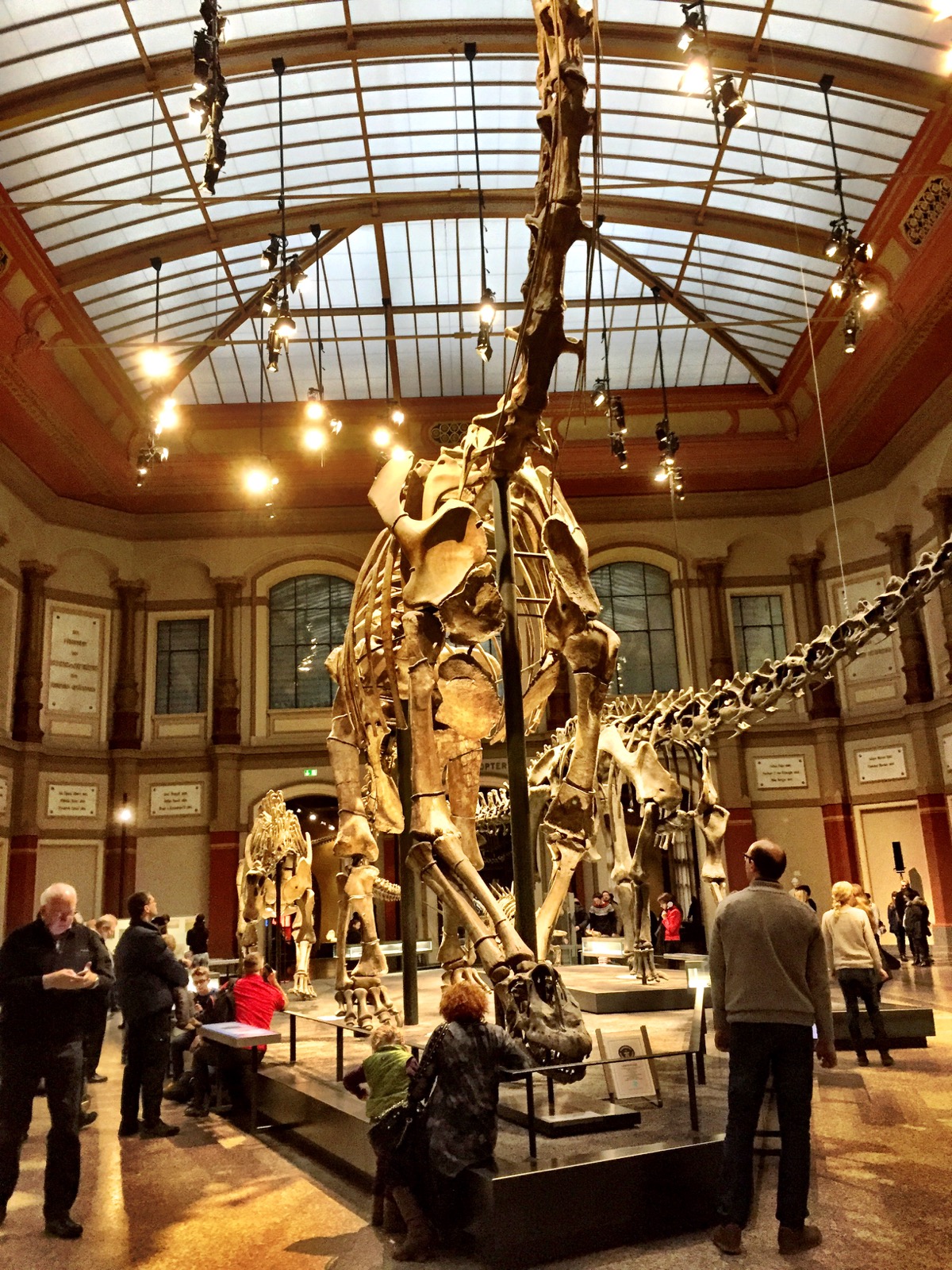 Esqueletos de vários dinossauros, com um maior em destaque, no centro.
