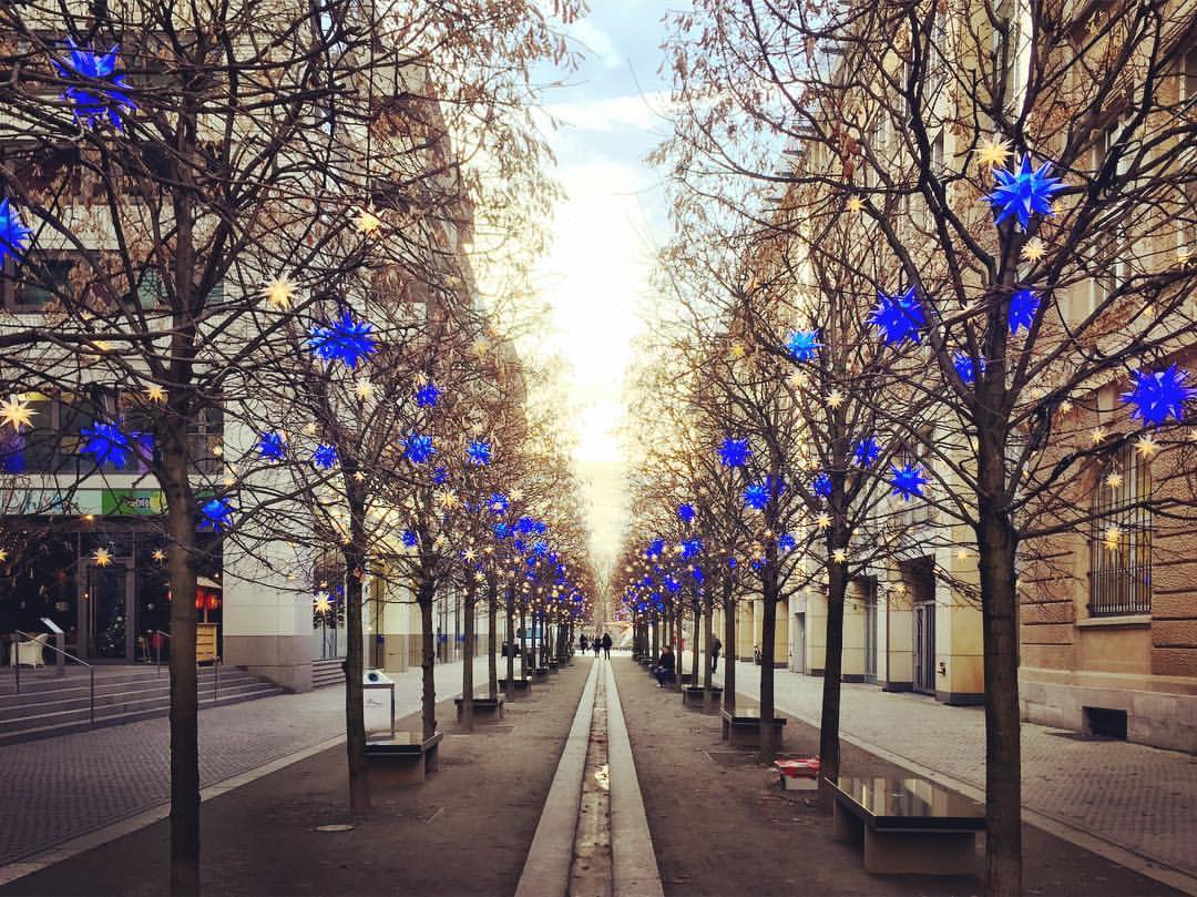 #paracegover A imagem mostra uma passagem para pedestres ladeada por árvores, que, já sem nenhuma folha, estão decoradas com estrelas nas cores branca (que não aparecem muito bem por causa da luz) e azul-violeta. O efeito é maravilhoso. — at Berlin Mitte.