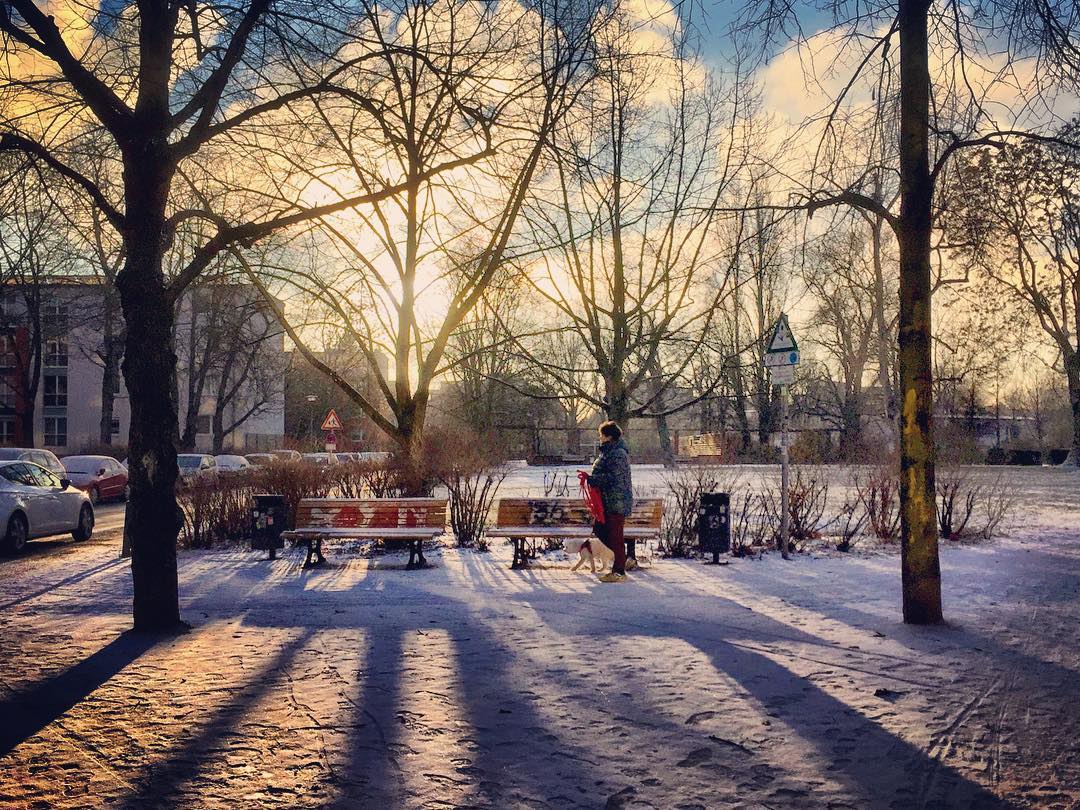 Descrição para deficientes visuais: a imagem mostra uma pessoa caminhando por um parque cujo chão está coberto de neve. A luz do sol penetra por entre os galhos secos das árvores formando sombras. — at Berlin Alte jakobstrasse.