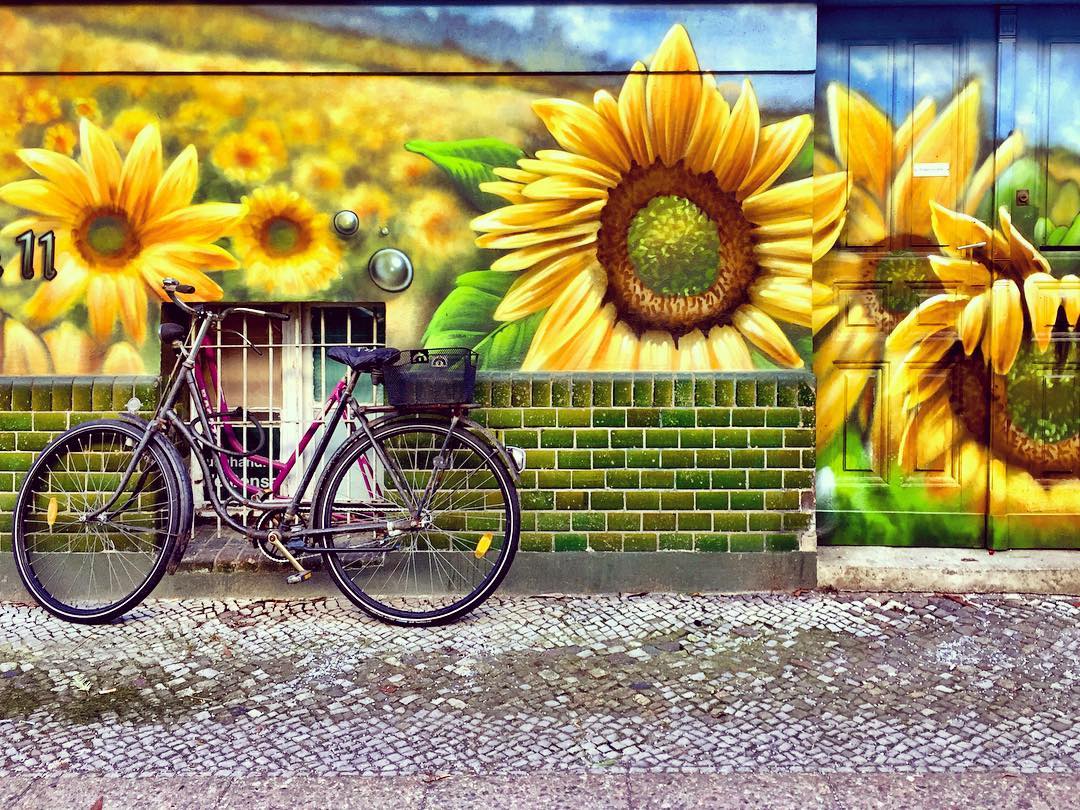 #paracegover Descrição para deficientes visuais: a imagem mostra uma bicicleta encostada em uma parede cuja metade inferior é revestida de cerâmica verde musgo e a parte de cima estampada com grafite hiperrealista representando girassóis gigantes. A despeito das temperaturas negativas, nessa fachada é sempre primavera... — at Berlin Hiddenseerstrasse.