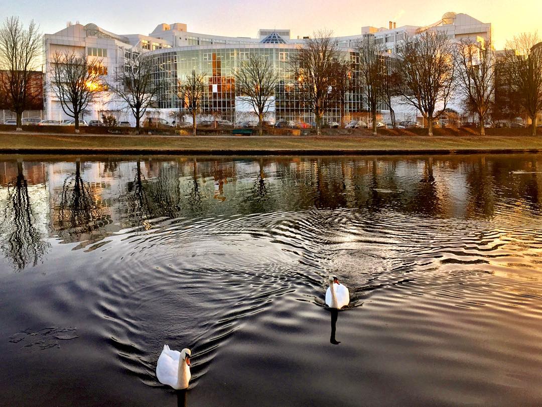 #paracegover Descrição para deficientes visuais: a imagem mostra a fachada de um dos prédios do Instituto Fraunhofer de tecnologia vista da outra margem do rio Spree. Um par de cisnes compõem o cenário sob a luz dourada do sol. — at Kaiserin-Augusta-Allee.