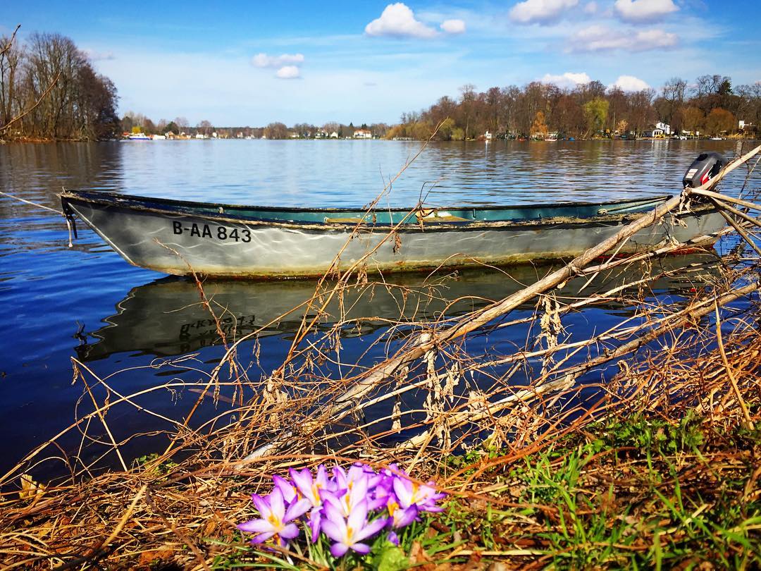 #paracegover Descrição para deficientes visuais: a imagem mostra um barquinho ancorado próximo à borda do rio. Em primeiro plano, um mini buquê de flores naturais brota no meio do capim. O dia está cinematográfico! — at Berlin-Haselhorst.