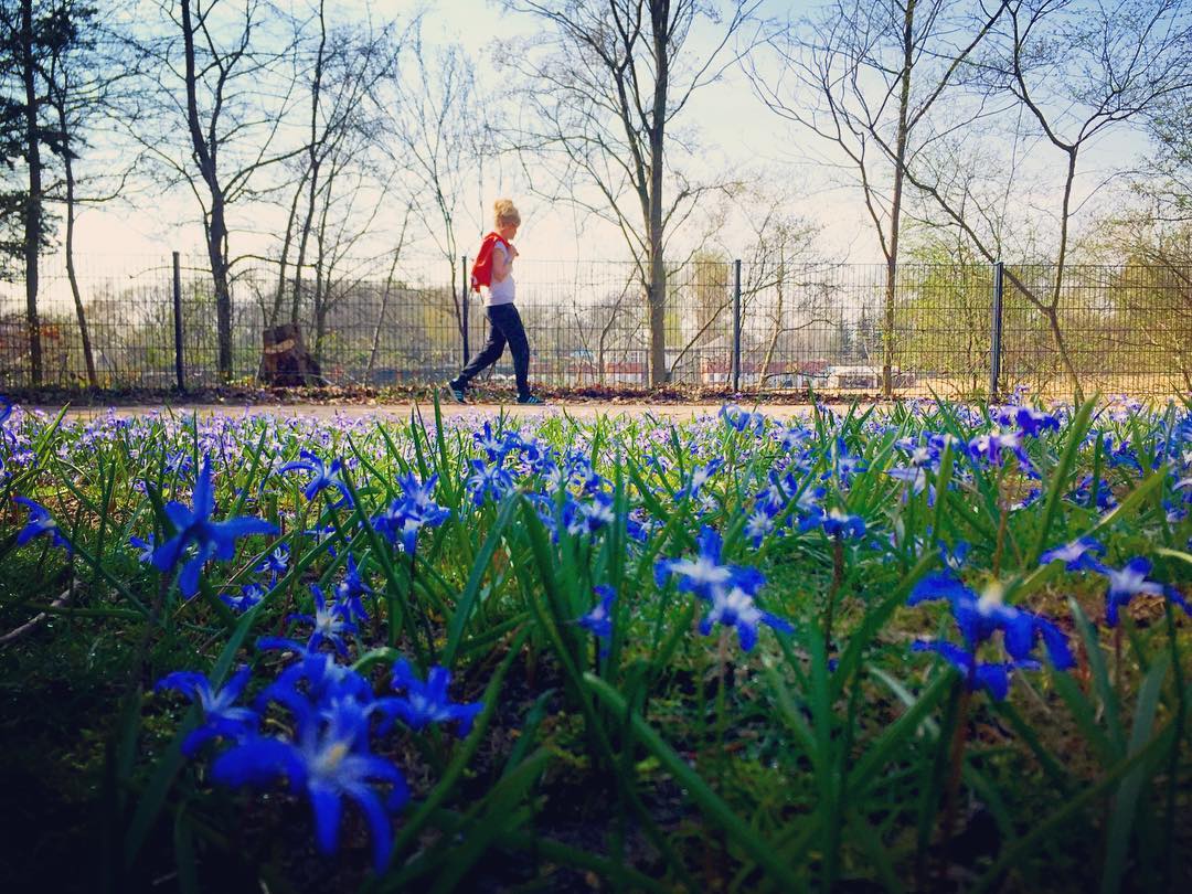 #paracegover Descrição para deficientes visuais: a imagem mostra uma mulher caminhando no parque. Ela usa camiseta branca e calça escura e está carregando um casaco vermelho nas costas. Em primeiro plano, flores silvestres azuis cobrem toda a relva. — in Plötzensee, Berlin, Germany.