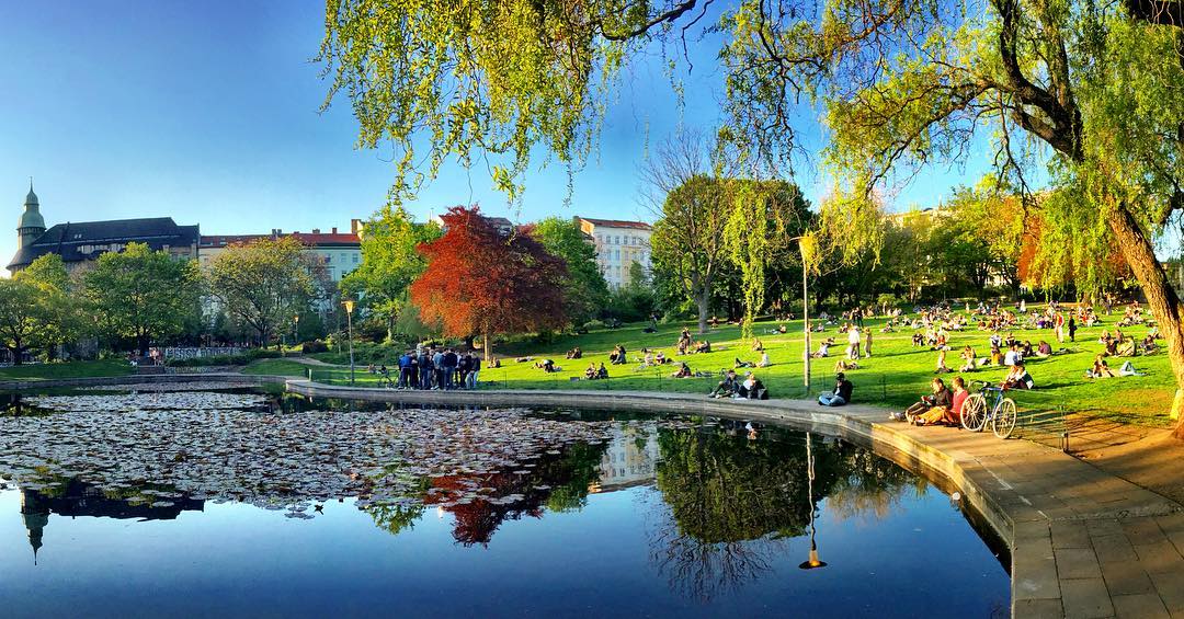 #paracegover Descrição para deficientes visuais: a imagem mostra a vista panorâmica de um parque onde as pessoas estão todas lagarteando no gramado ao sol da primavera. O dia está maravilhoso e a cena é refletida no lago cheio de nenúfares. — at Volkspark am Weinberg.