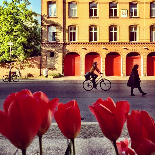 #paracegover Descrição para deficientes visuais: a imagem mostra as silhuetas de uma ciclista e uma mulher de capa escura caminhando sobre uma rua. Ao fundo, um prédio amarelo com portas vermelhas. Em primeiro plano, tulipas encarnadas. — at Oderberger Straße.