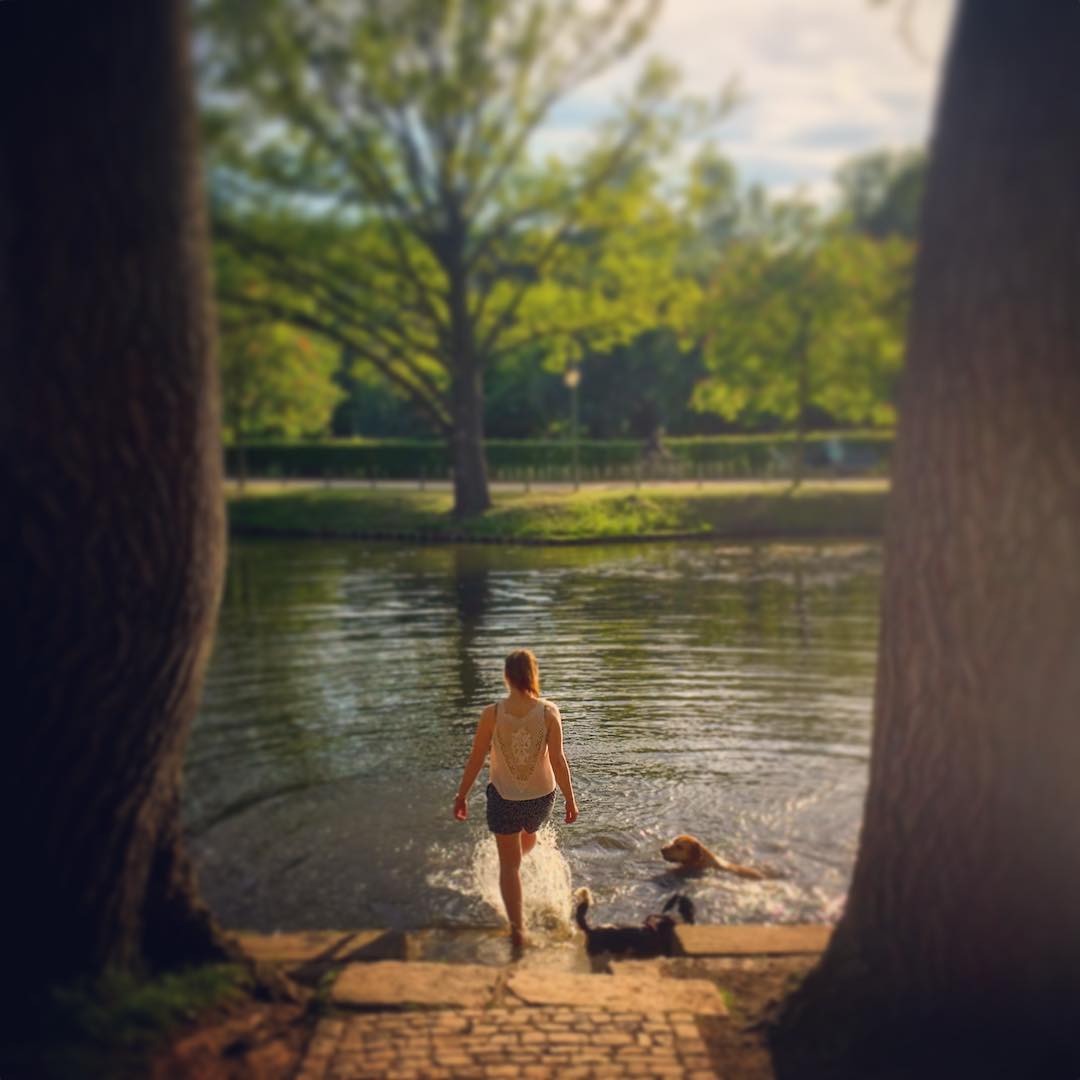 #paracegover Descrição para deficientes visuais: a imagem mostra uma moça, de costas, chutando a água de um lago para brincar com seus dois cachorros, que parecem estar se divertindo muito. A cena é emoldurada pelos troncos de duas árvores. — at Beethoven-Haydn-Mozart-Denkmal.