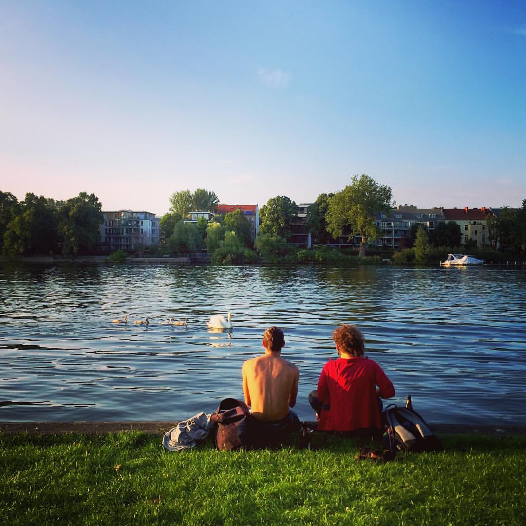 #paracegover Descrição para deficientes visuais: a imagem mostra um casal de costas, sentado na grama, à beira do rio Spree. Ele usa coque e está sem camisa; ela usa uma blusa vermelha. Um cisne (ou "cisna") passa pela frente deles com seus quatro filhotes. — at Treptower Park.