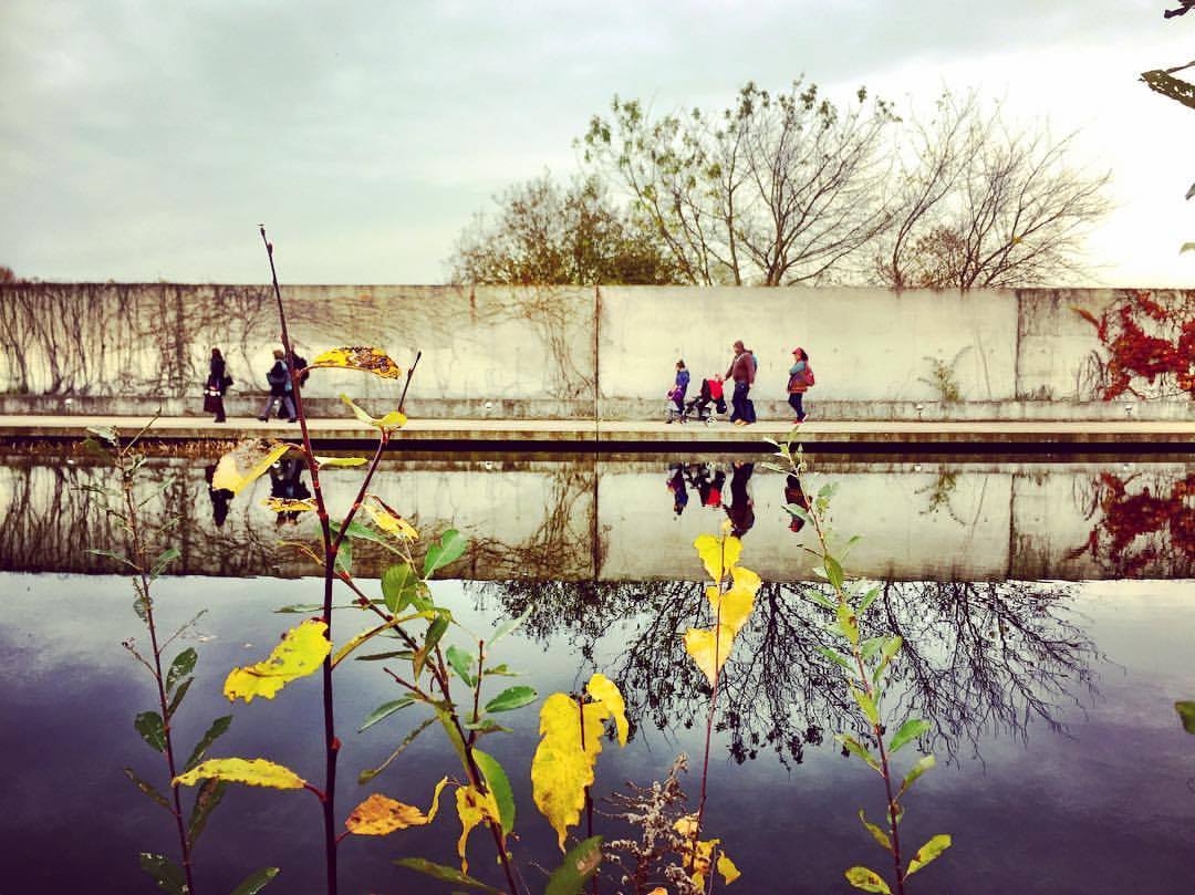 #paracegover Descrição para deficientes visuais: a imagem mostra pessoas caminhando em frente a um muro. Na frente, há um lago que reflete a cena. Em primeiro plano, as últimas folhas amarelas sobreviventes da densa vegetação se exibem, desafiadoras. O dia está nublado. — at Tierheim Hohenschönhausen.