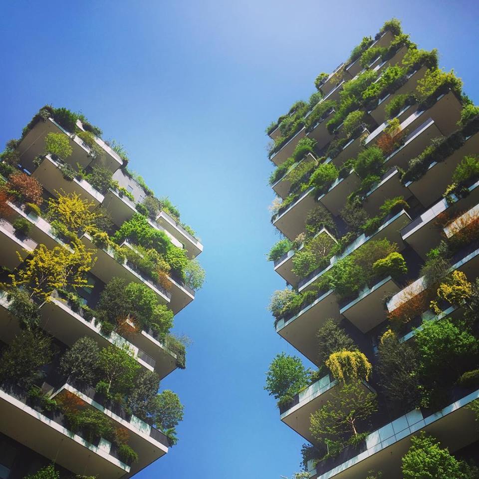 #paracegover Descrição para deficientes visuais: a imagem mostra dois prédios do Bosque Vertical, construídos para serem jardins suspensos. As sacadas possuem nichos para encaixar árvores e plantas diversas. Sob o céu azul, é lindo demais!