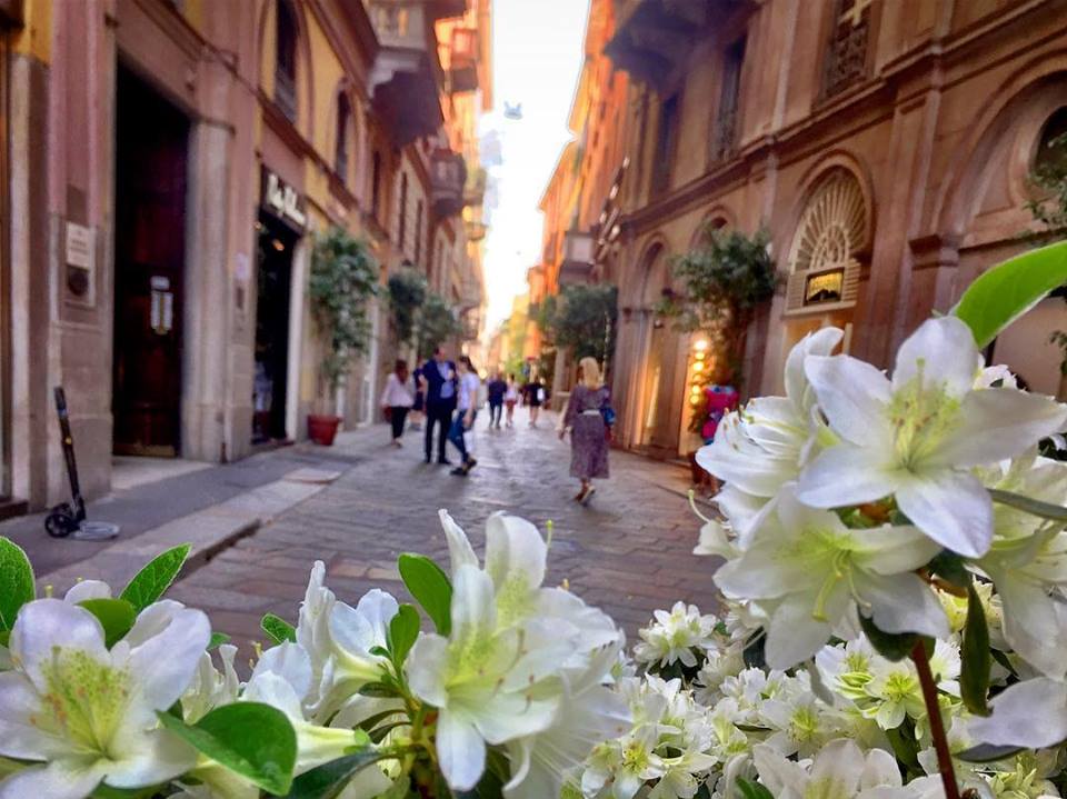 #paracegover Descrição para deficientes visuais: a imagem mostra uma rua de pedestres (no famoso "Quadrilátero da moda" onde estão as lojas das marcas mais conhecidas) vista por trás de um vaso de flores brancas.