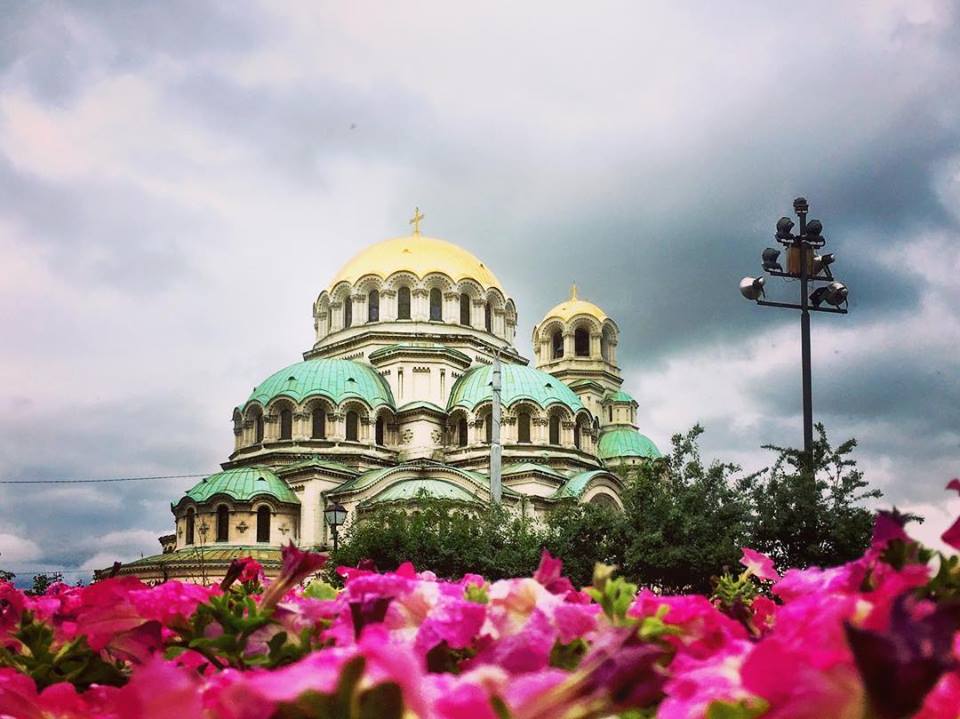 #paracegover Descrição para deficientes visuais: a imagem mostra a Catedral de Sofia ao fundo. Em primeiro plano, flores. Eu me molhei toda para tirar essa foto porque estava chovendo e deitei de barriga para o chão...hahahaha — at Cattedrale di Aleksandr Nevskij.