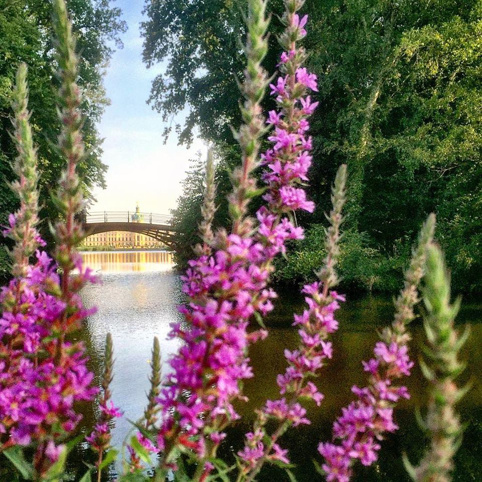 #paracegover Descrição para deficientes visuais: a imagem mostra o Castelo de Charlottenburg ao longe, visto por entre as flores e lagos do seu jardim. — at Charlottenburg Palace, Charlottenburg West Berlin.