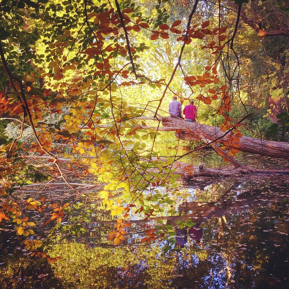 #paracegover Descrição para deficientes visuais: a imagem mostra o Tiergarten, que fica no centro da cidade de Berlim, com as folhas das árvores começando a ficar vermelhas e douradas. Ao fundo, duas pessoas conversam sentadas no tronco de uma árvore caída. Uma delas veste uma camiseta vermelha, combinando com as folhas. — in Tiergarten, Berlin, Germany.