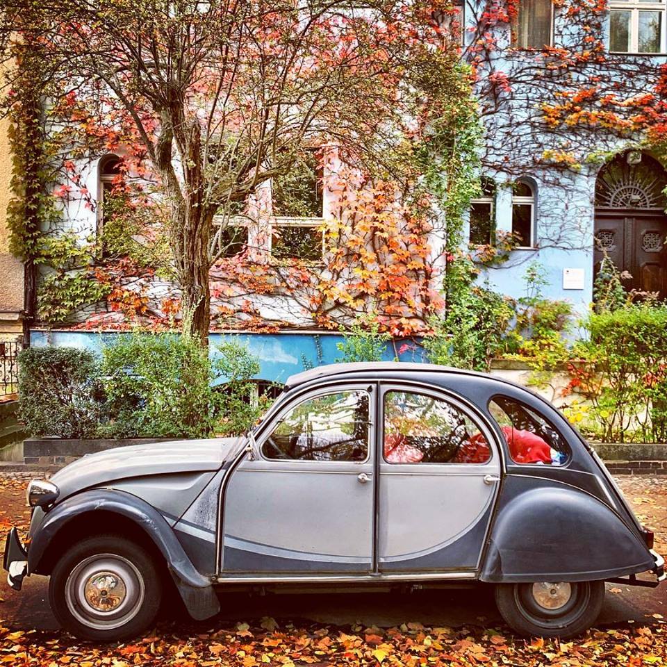 #paracegover Descrição para deficientes visuais: a imagem mostra um citroen antigo em dois tons de cinza estacionado em frente a um prédio cuja fachada está coberta de hera vermelha. — at Tiergartenquelle.