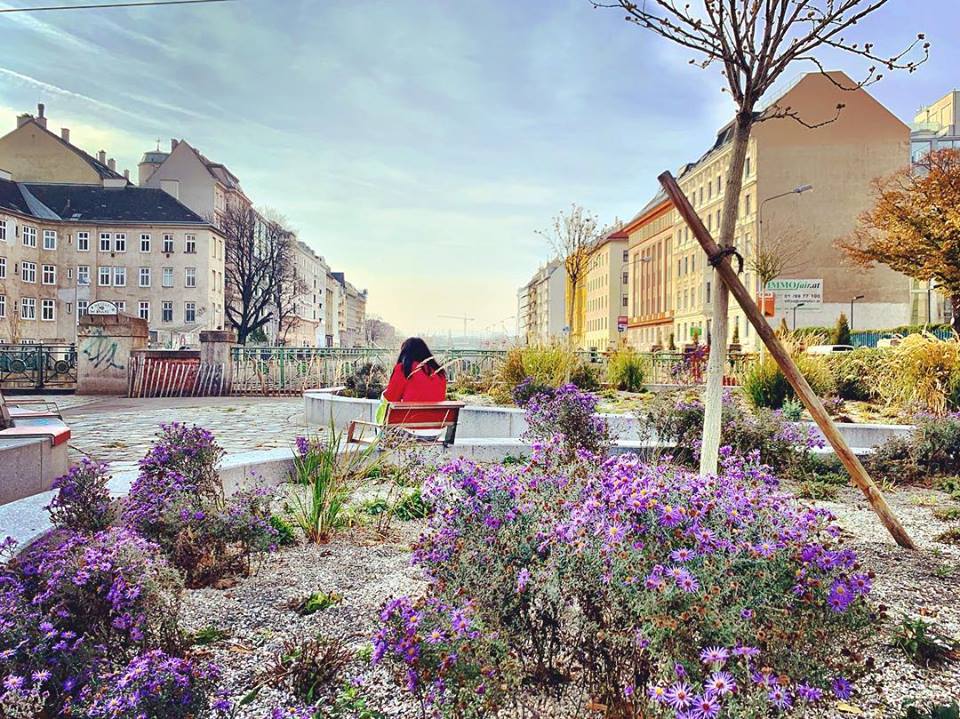 #paracegover Descrição para deficientes visuais: uma mulher de casaco vermelho está sentada de costas numa praça sobre uma ponte. Em primeiro plano, florzinhas lilases. — at Neville-Brücke.