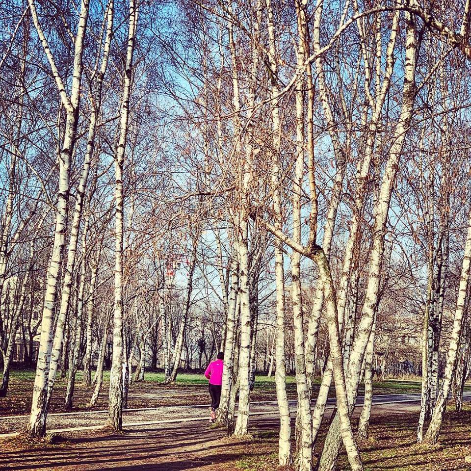 #paracegover Descrição para deficientes visuais: a imagem mostra uma mulher de casaco pink correndo por entre as árvores de um bosque seco. — at Mauerpark.